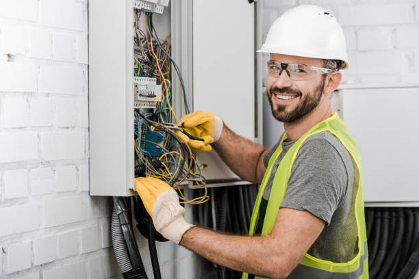 Best Electrical System Inspection  in Steger, IL