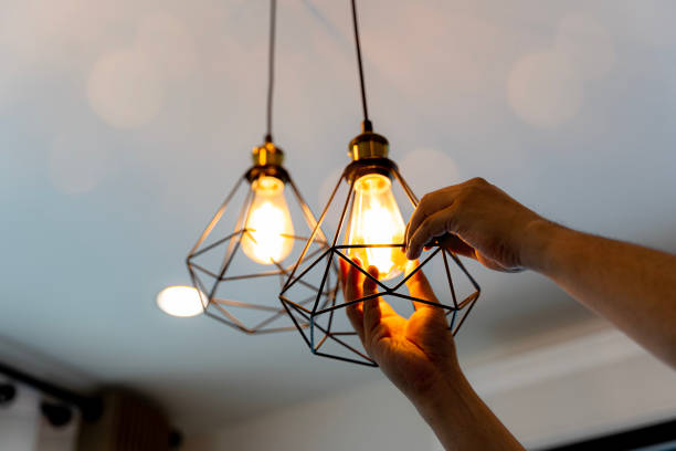 Best Licensed Electrician  in Steger, IL