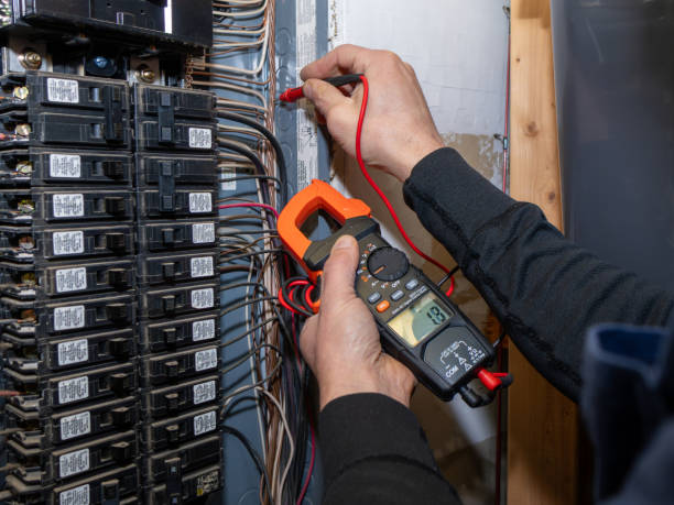 Best Home Electrical Repair  in Steger, IL